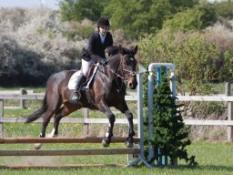 2016 Sydhavscup spring 1. del - 8. maj